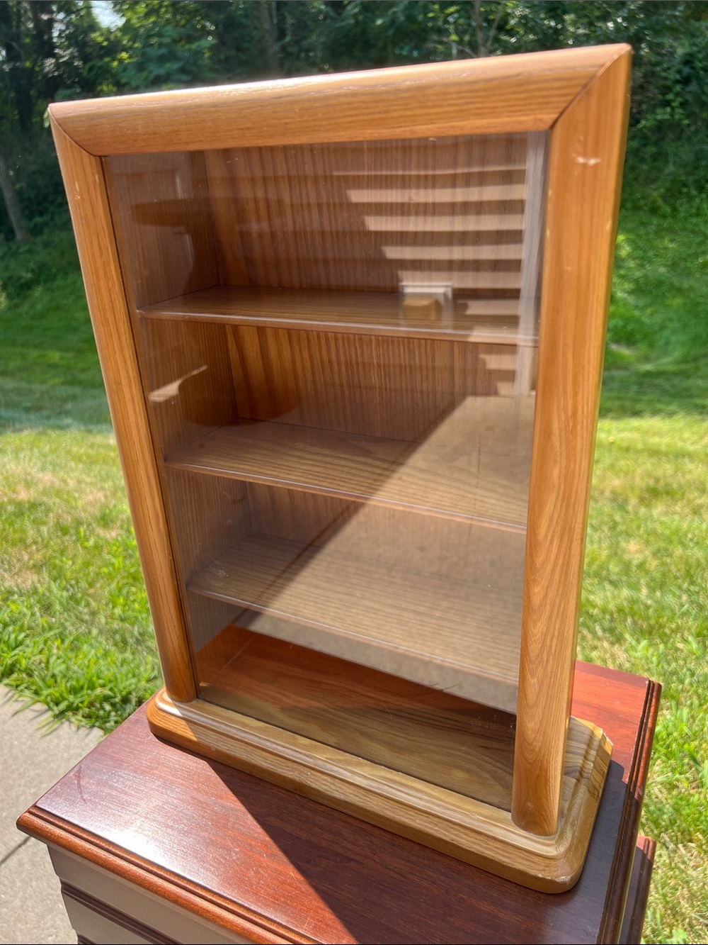 Vintage Sliding Front Panel Wooden Display Case Shadowbox Wall Hanging